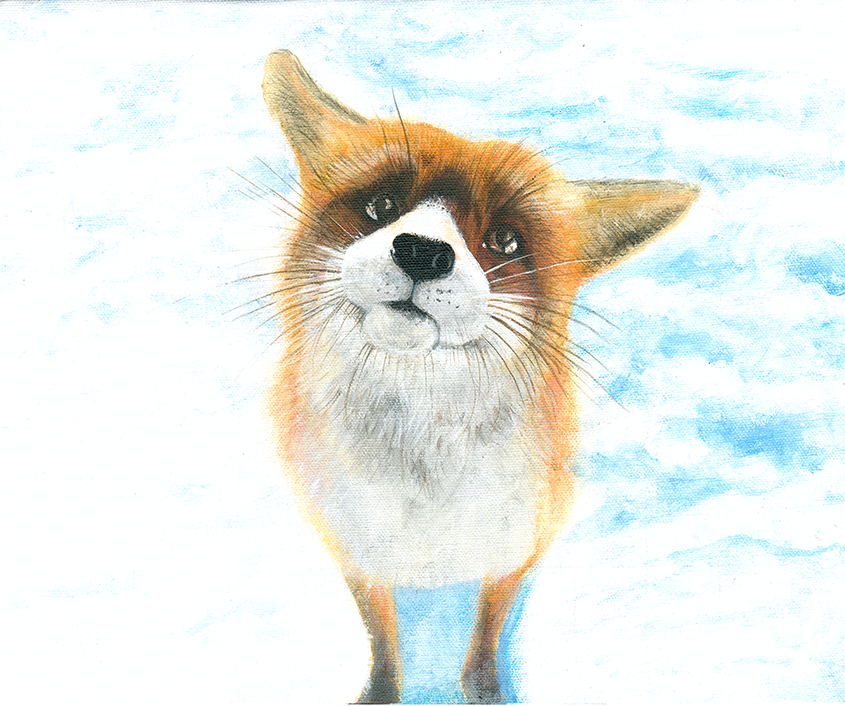Snow fox