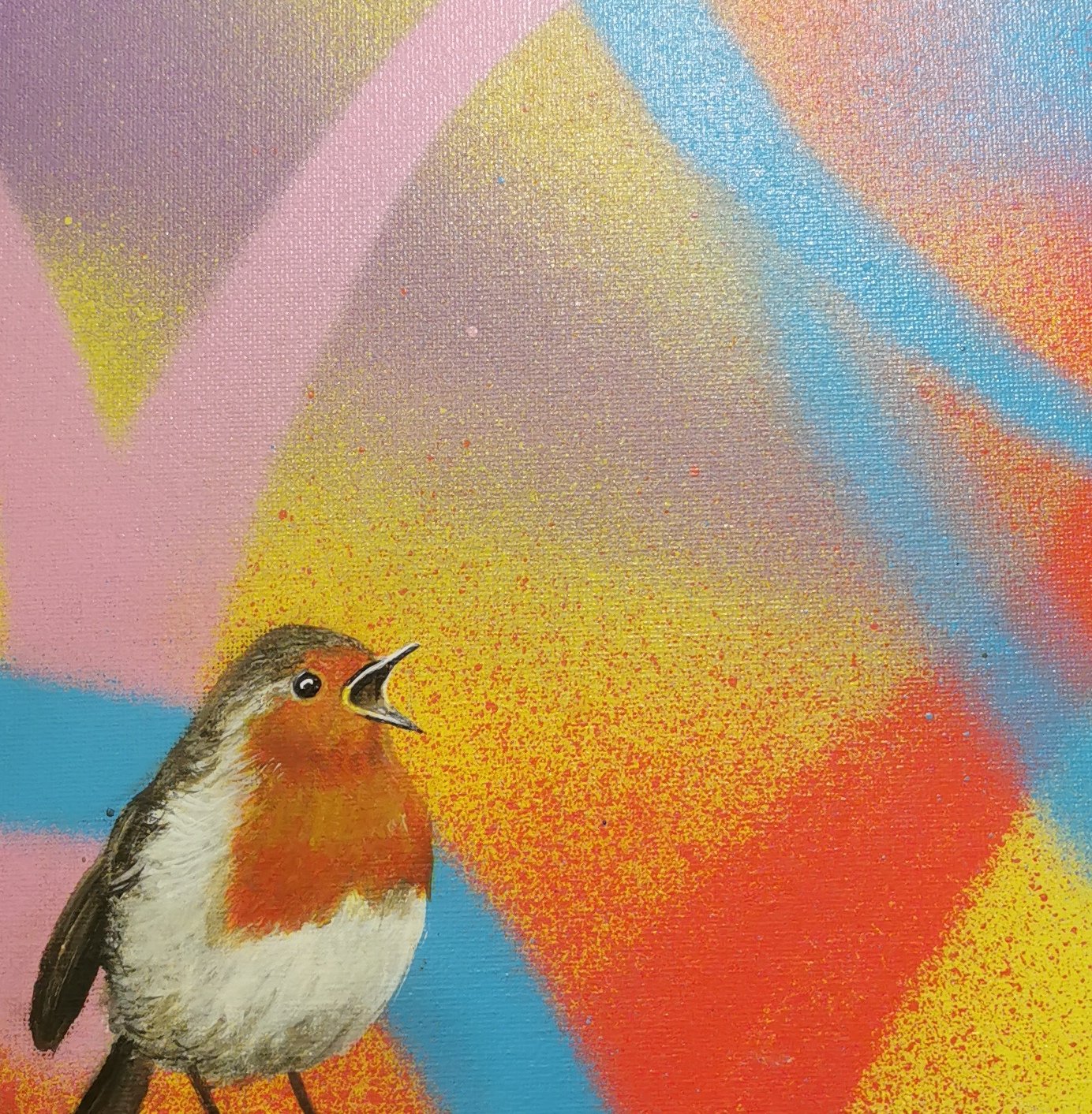 Robin