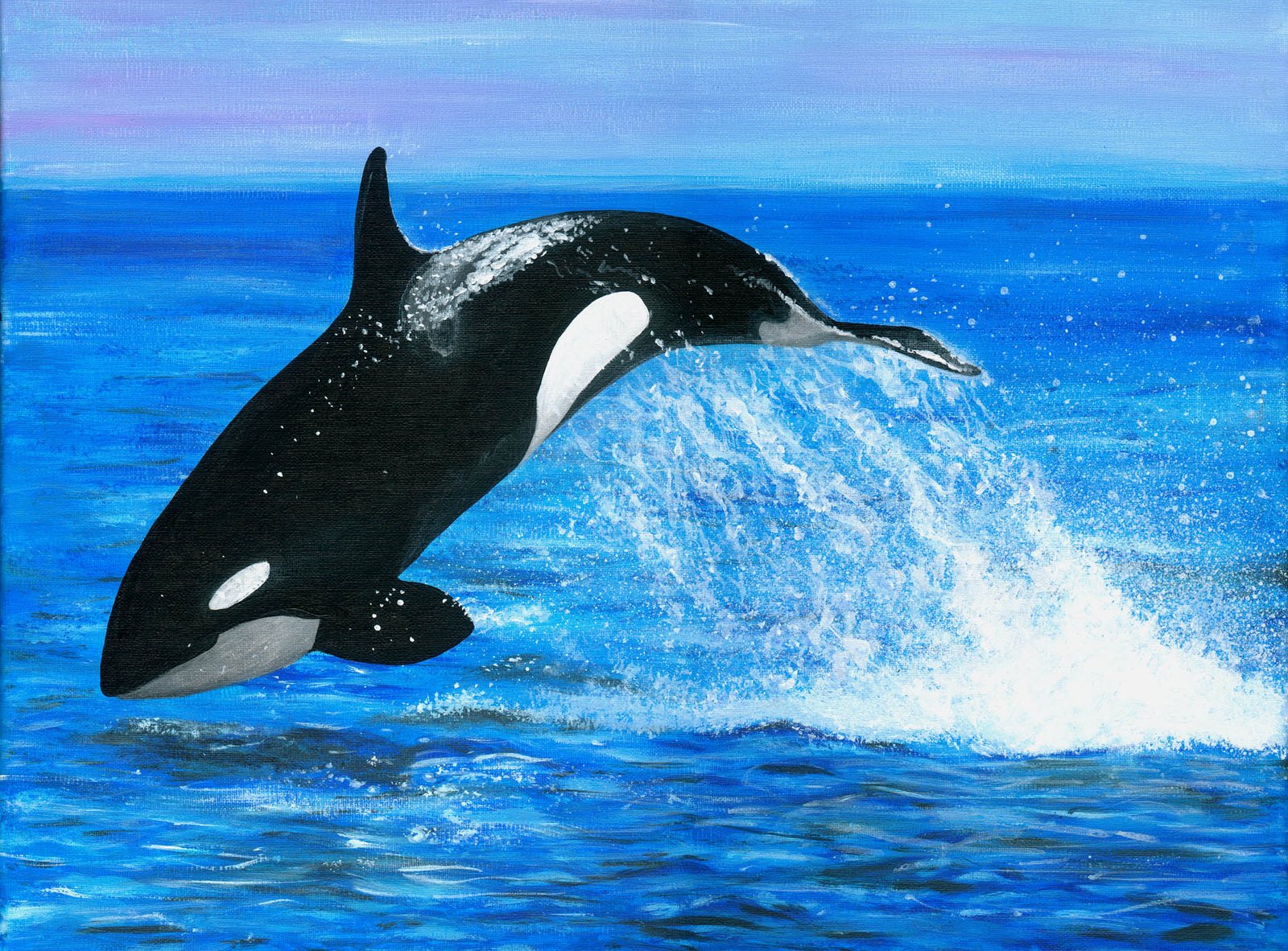 Orca