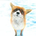 Snow fox 10x12